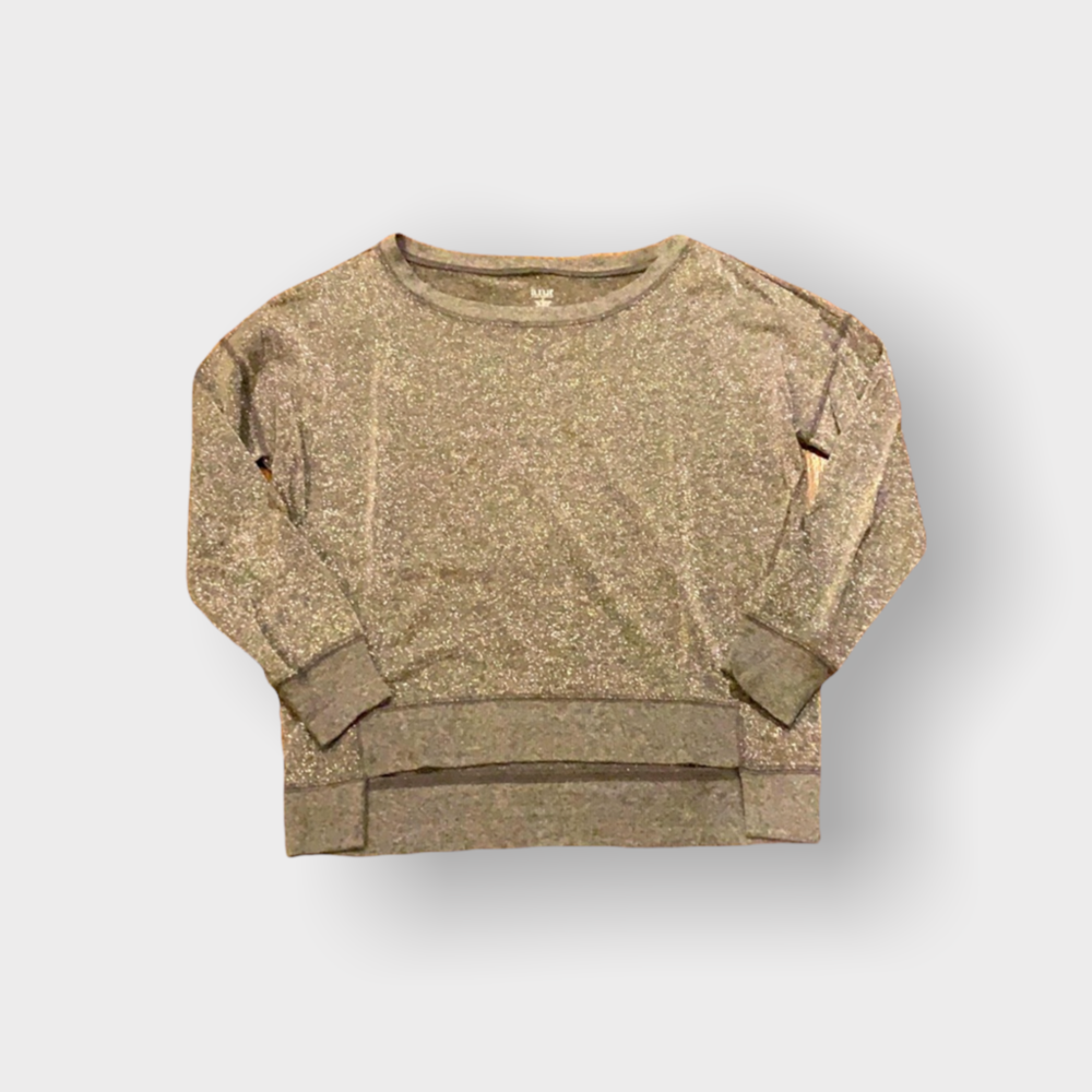 A.n.a silver sparkly long sleeve shirt